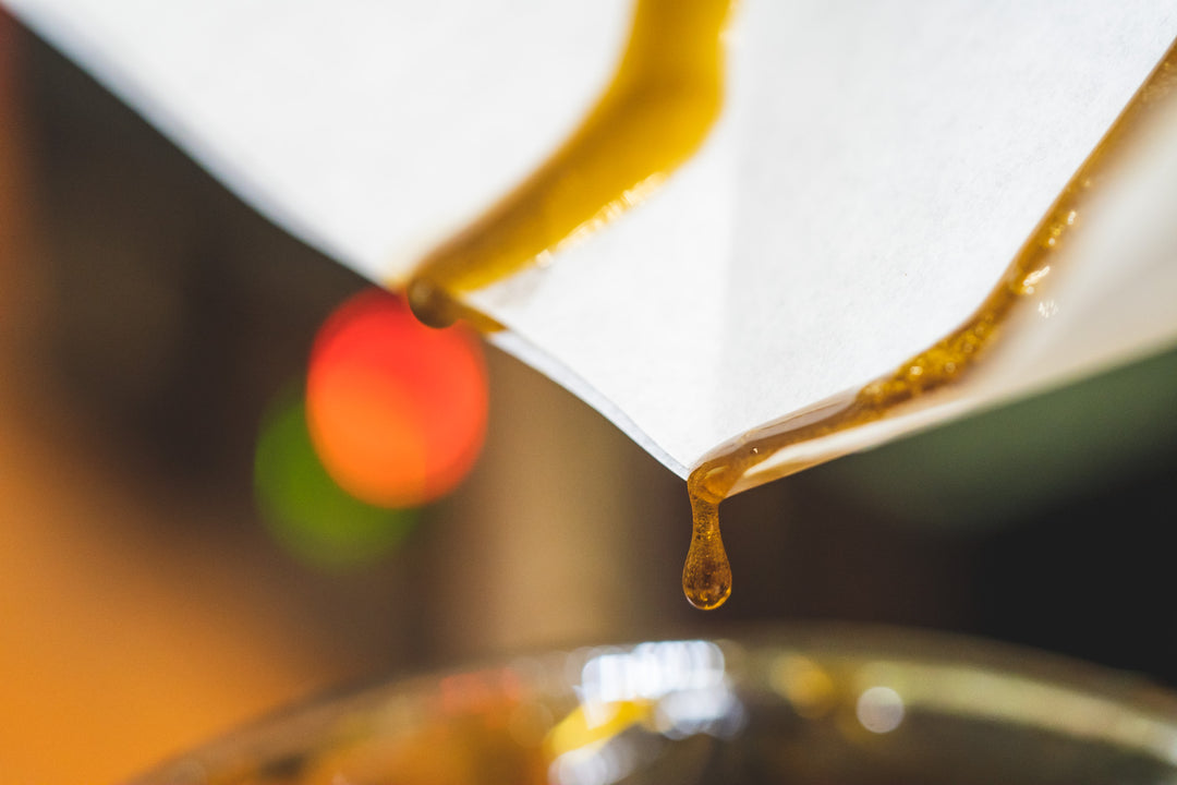 Solventless CBD Extraction 101 - The Top Benefits & Ultimate Guide