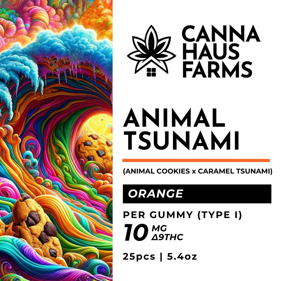 10mg Orange Live Rosin Gummies | Animal Tsunami