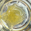 Pink Starburst | Live Hash Rosin