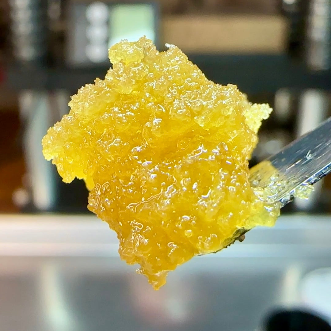 THCa Live Hash Rosin | Full-Spectrum