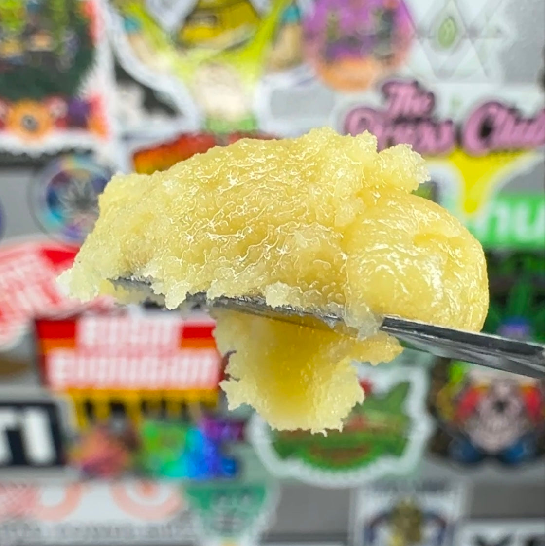 Rambutan F2 | Live Hash Rosin