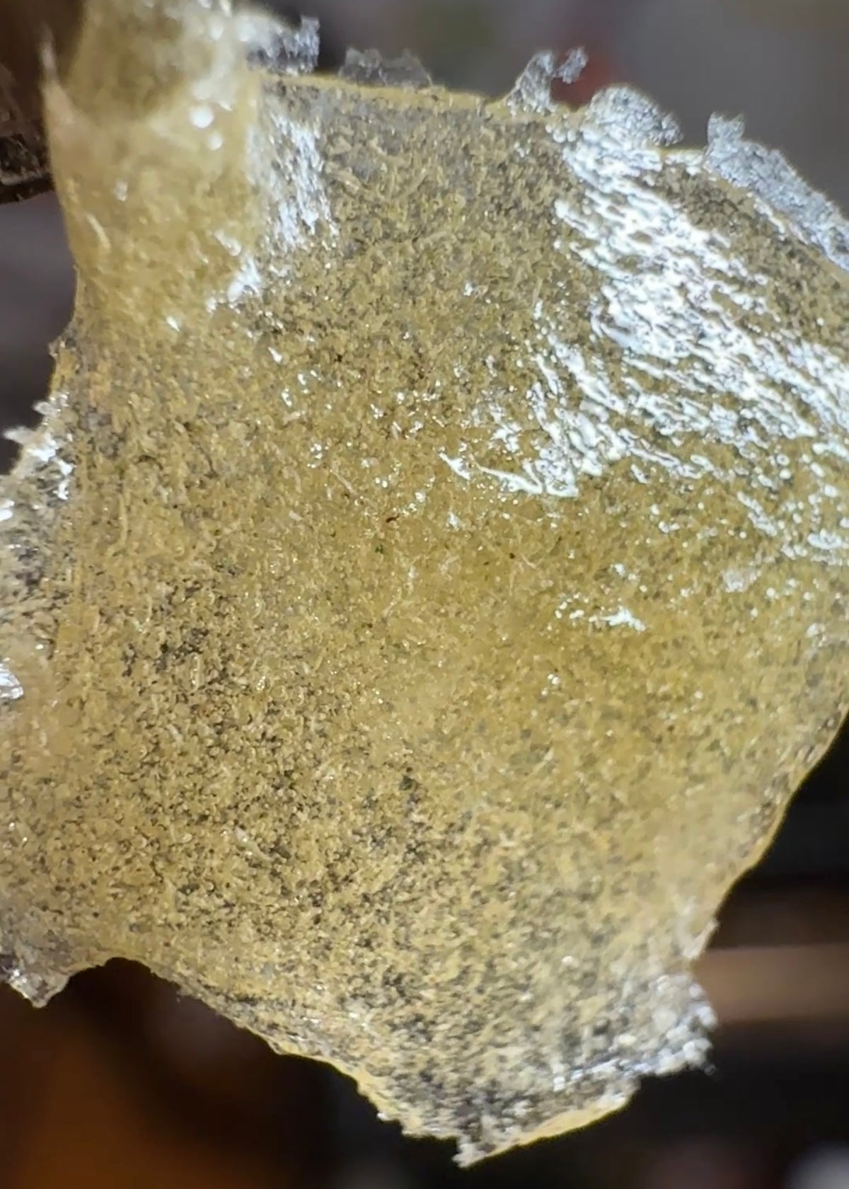 Pink Starburst live hash rosin — temporary prototype image