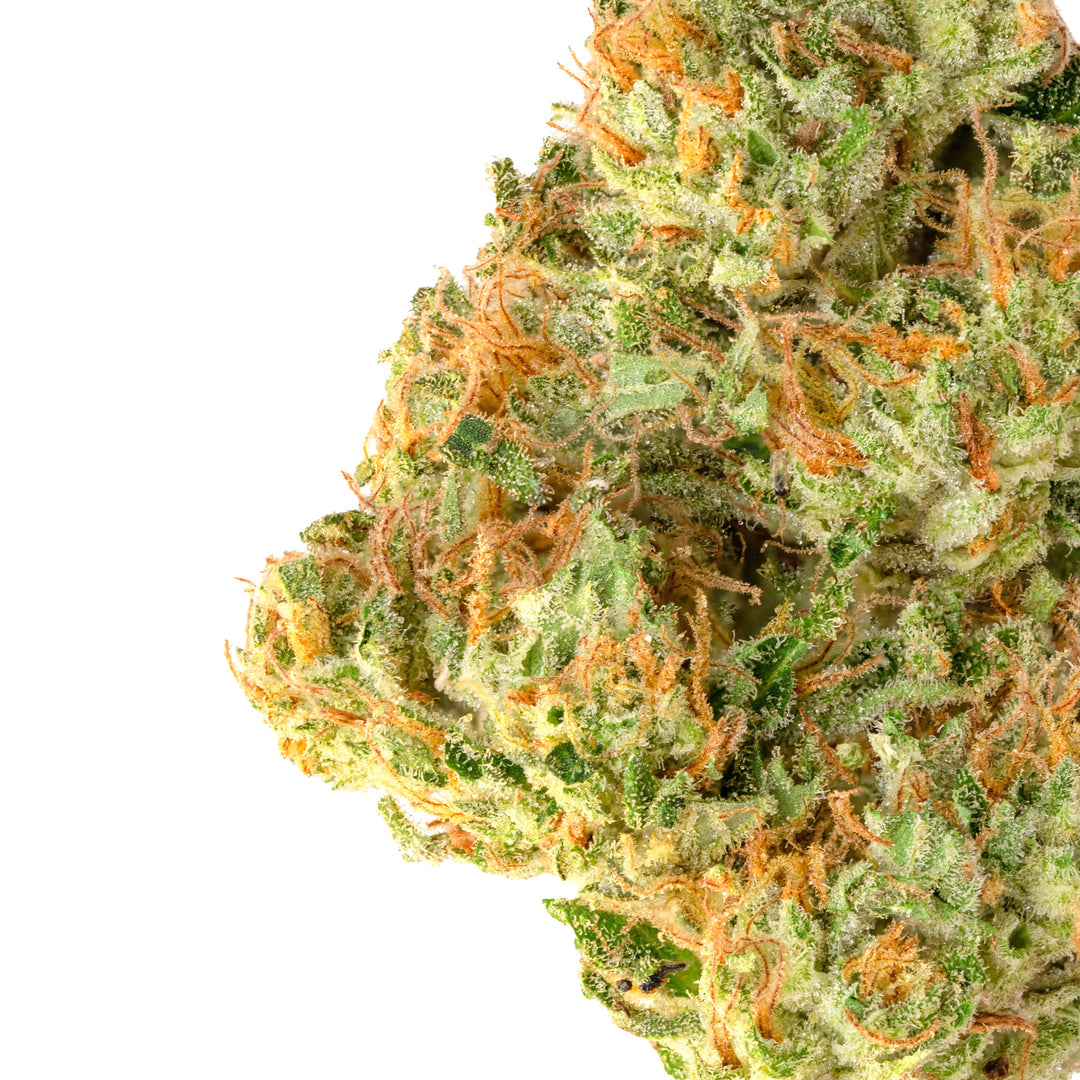 Mango Tree CBD Flower | Greenhouse