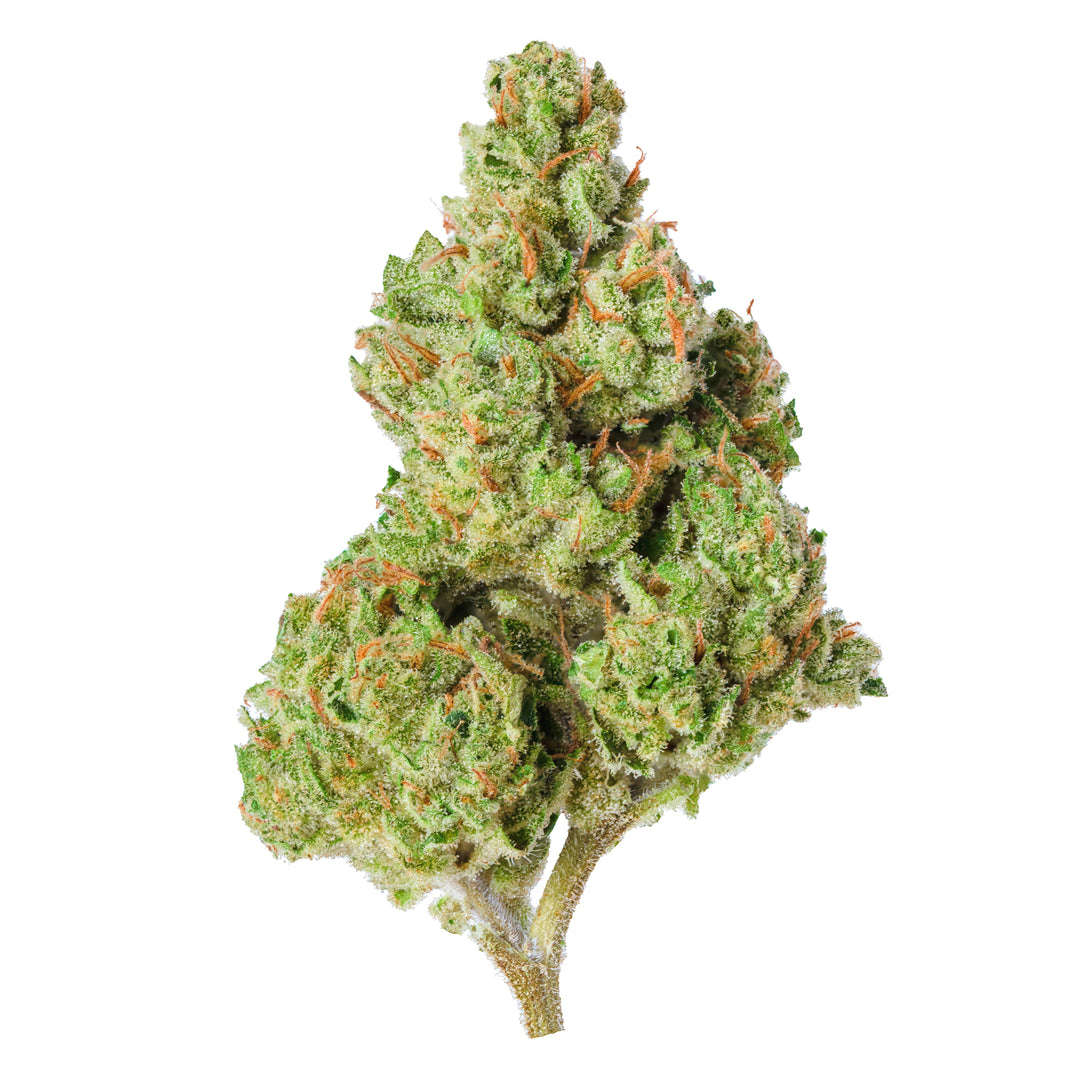 Mango Tree CBD Flower | Sun-Grown