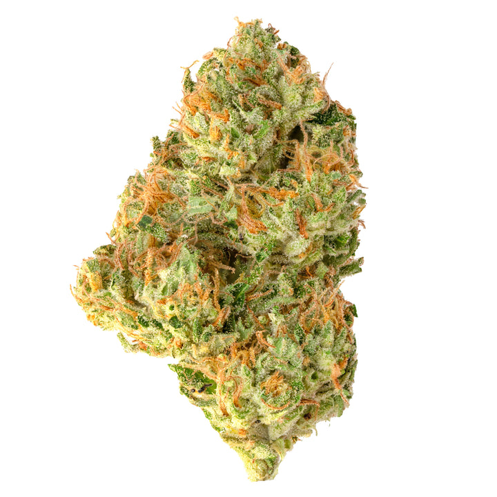 Mango Tree CBD Flower | Greenhouse