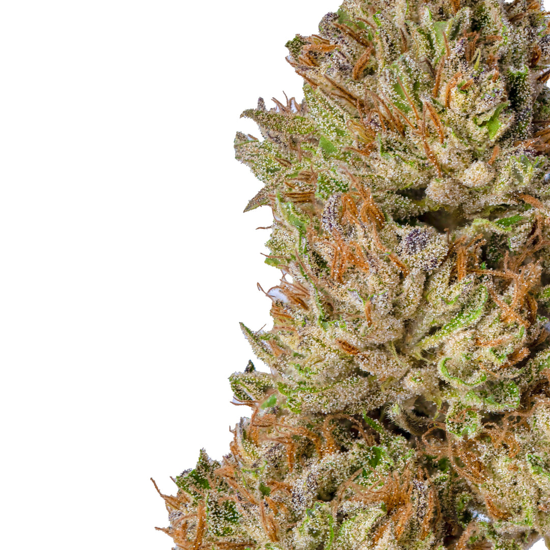 Sour Jet Fuel CBD Flower | Greenhouse