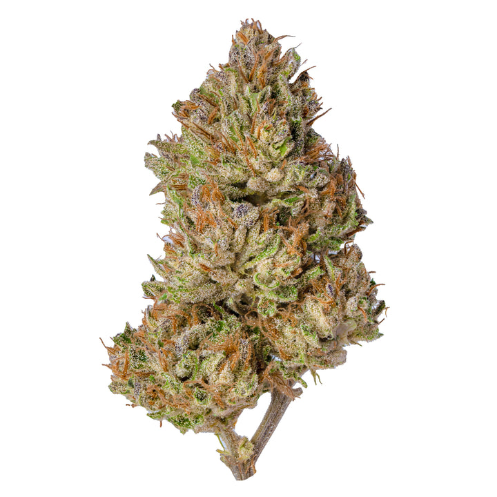 Sour Jet Fuel CBD Flower | Greenhouse