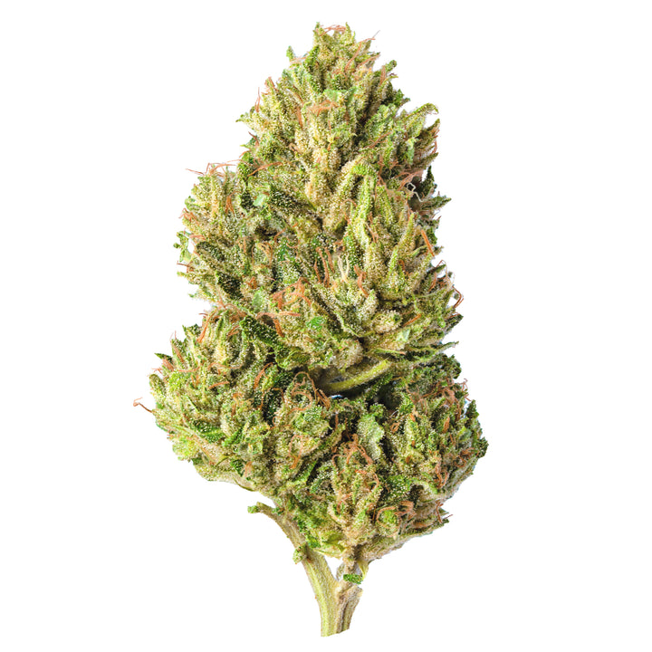 Pineapple Kush CBD Flower | Greenhouse